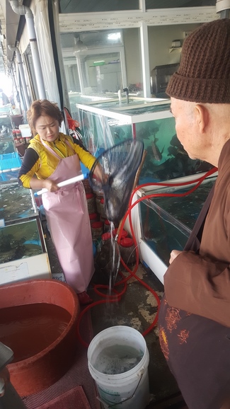 Partake in the Vesak Ceremony at Yonggungsa Cham Joeun Uri Temples